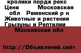 кролики порда рекс › Цена ­ 500 - Московская обл., Раменский р-н Животные и растения » Грызуны и Рептилии   . Московская обл.